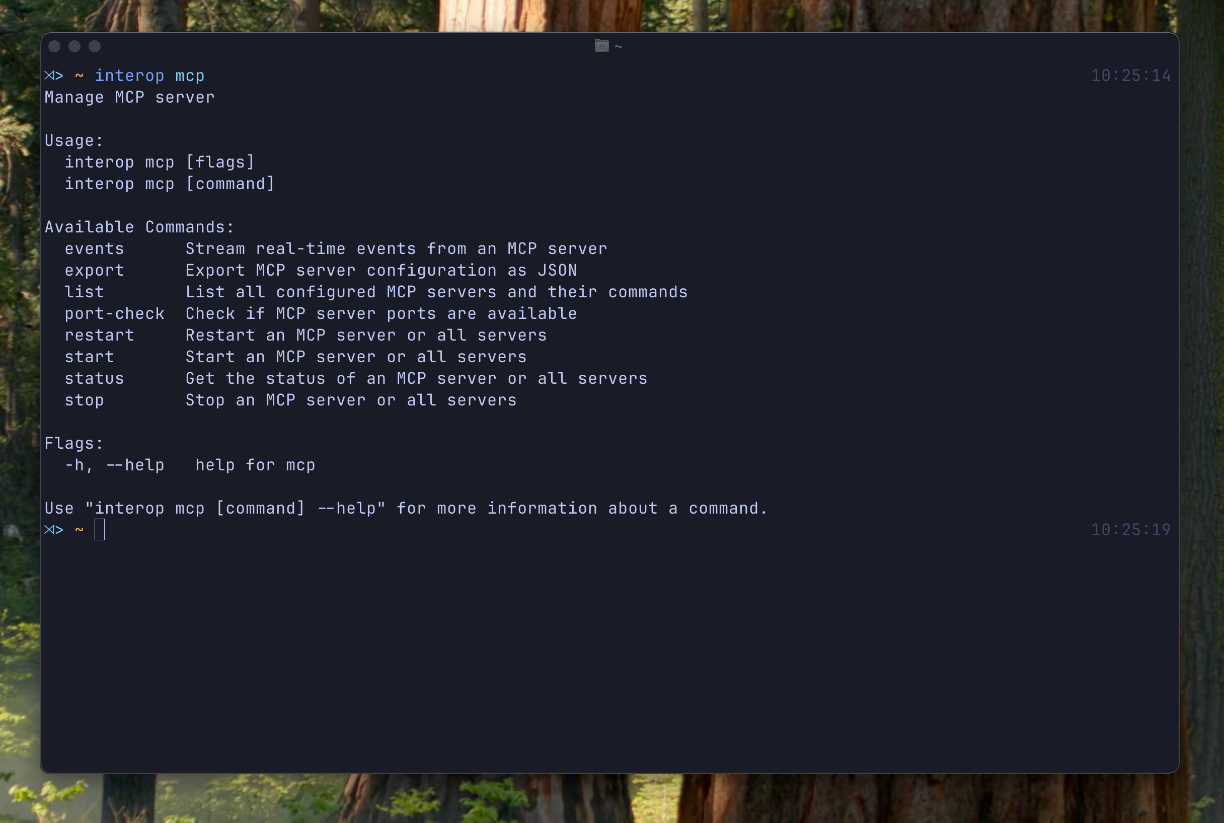 MCP command feature set
