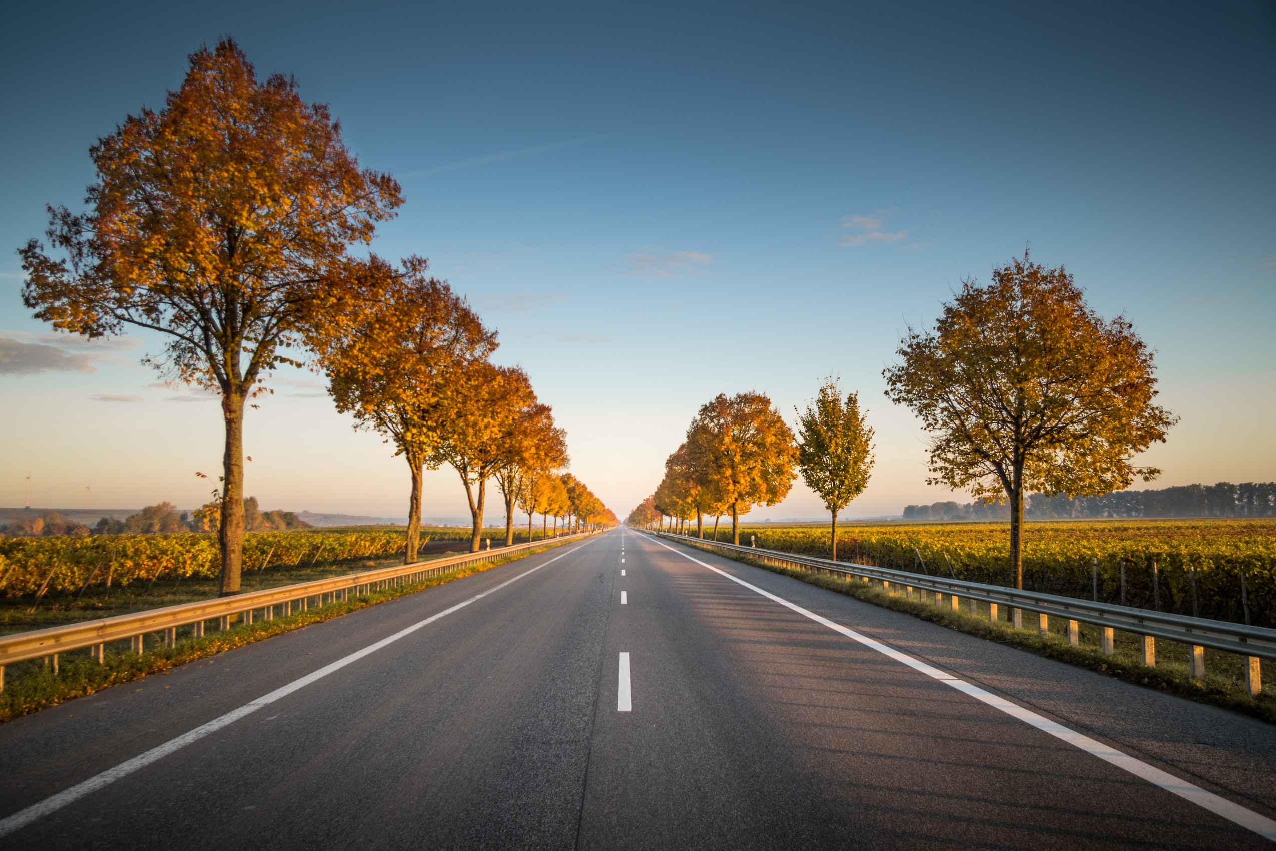 Image for Recap of 2020, Roadmap for 2021
